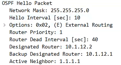 OSPF基础——区域内LSA