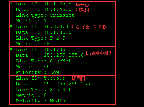 OSPF基础——区域内SPF计算