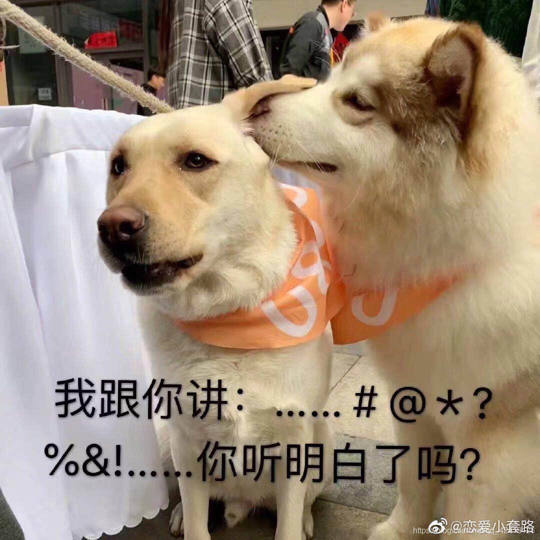 Java集合中，为什么会需要迭代器