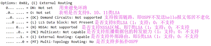 OSPF基础——区域内LSA